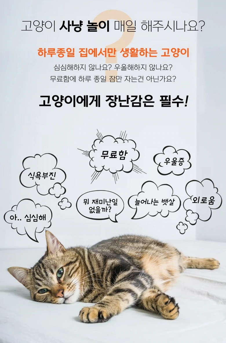 猫咪不倒翁互动玩具：情境引入：围绕猫咪安排短主题