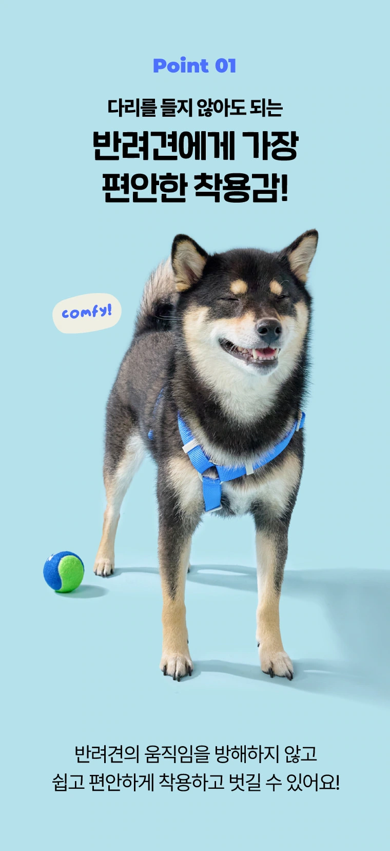 PPZ宠物胸背牵引套装：场景开场：让犬只与胸背同时成为主体