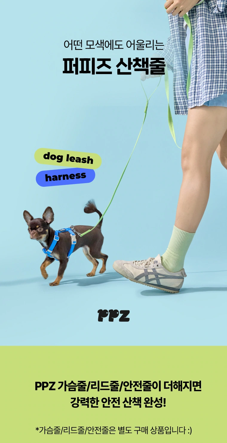PPZ宠物胸背牵引套装：散步情境：建立人物与宠物之间的比例